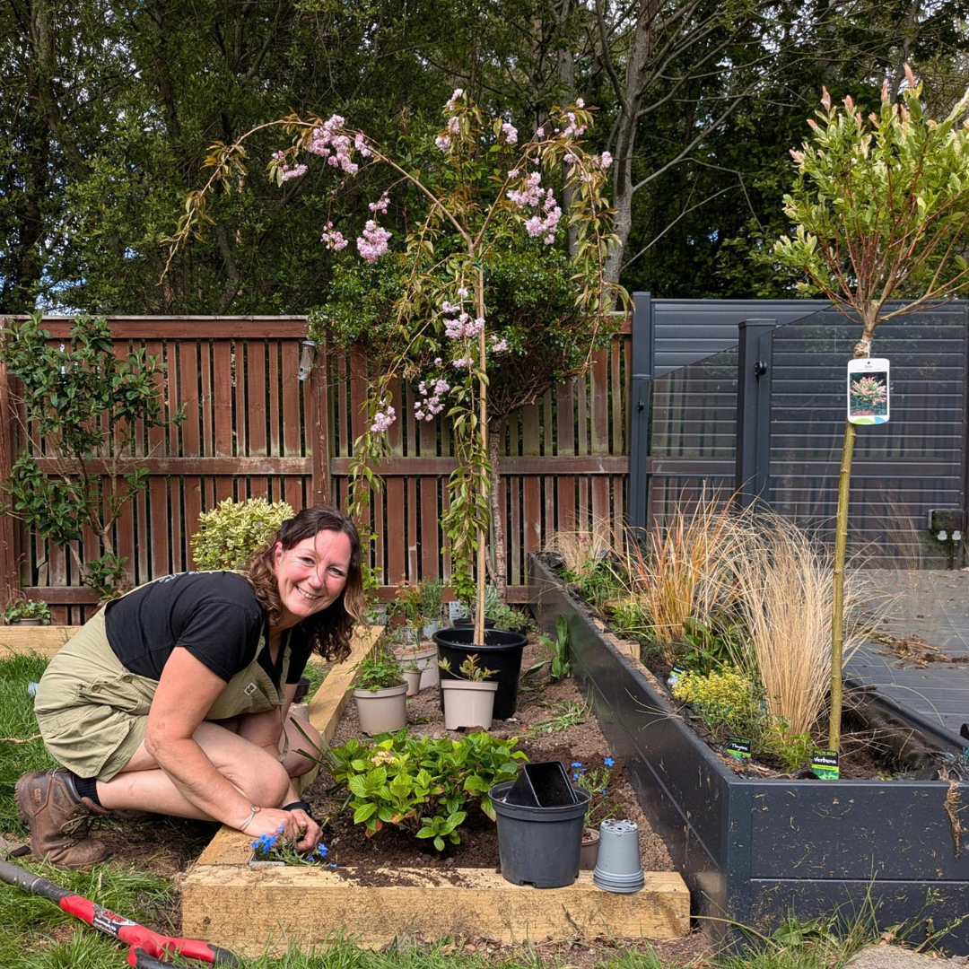 Woman gardening in a backyard next to a flower bed, planting flowers with a smile. There are potted plants and trees, and a wooden fence in the background.