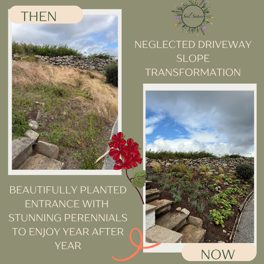 Garden transformations  (1).png