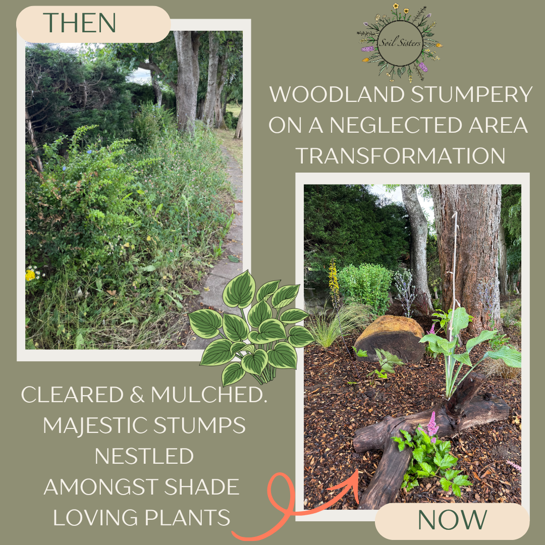 Garden transformations  (2).png