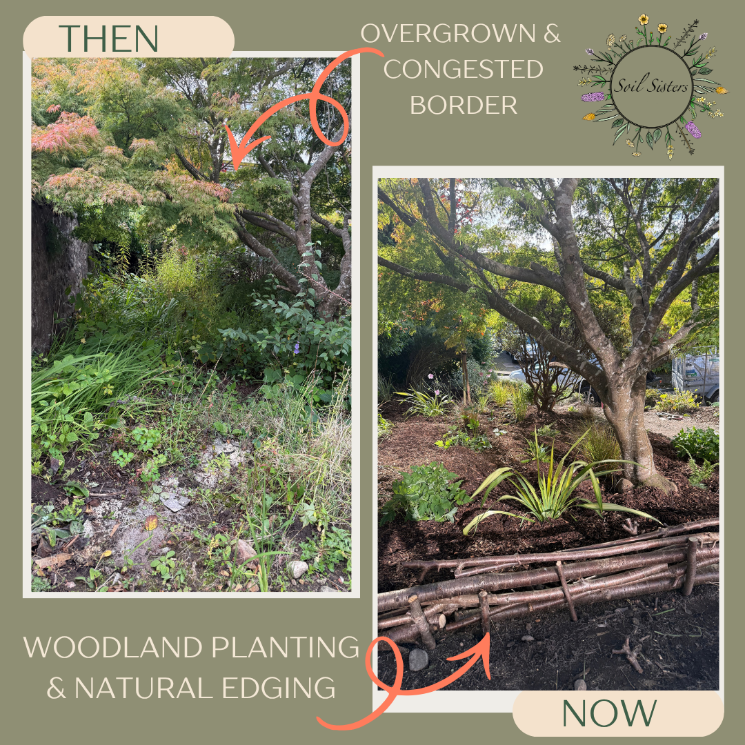 Garden transformations .png