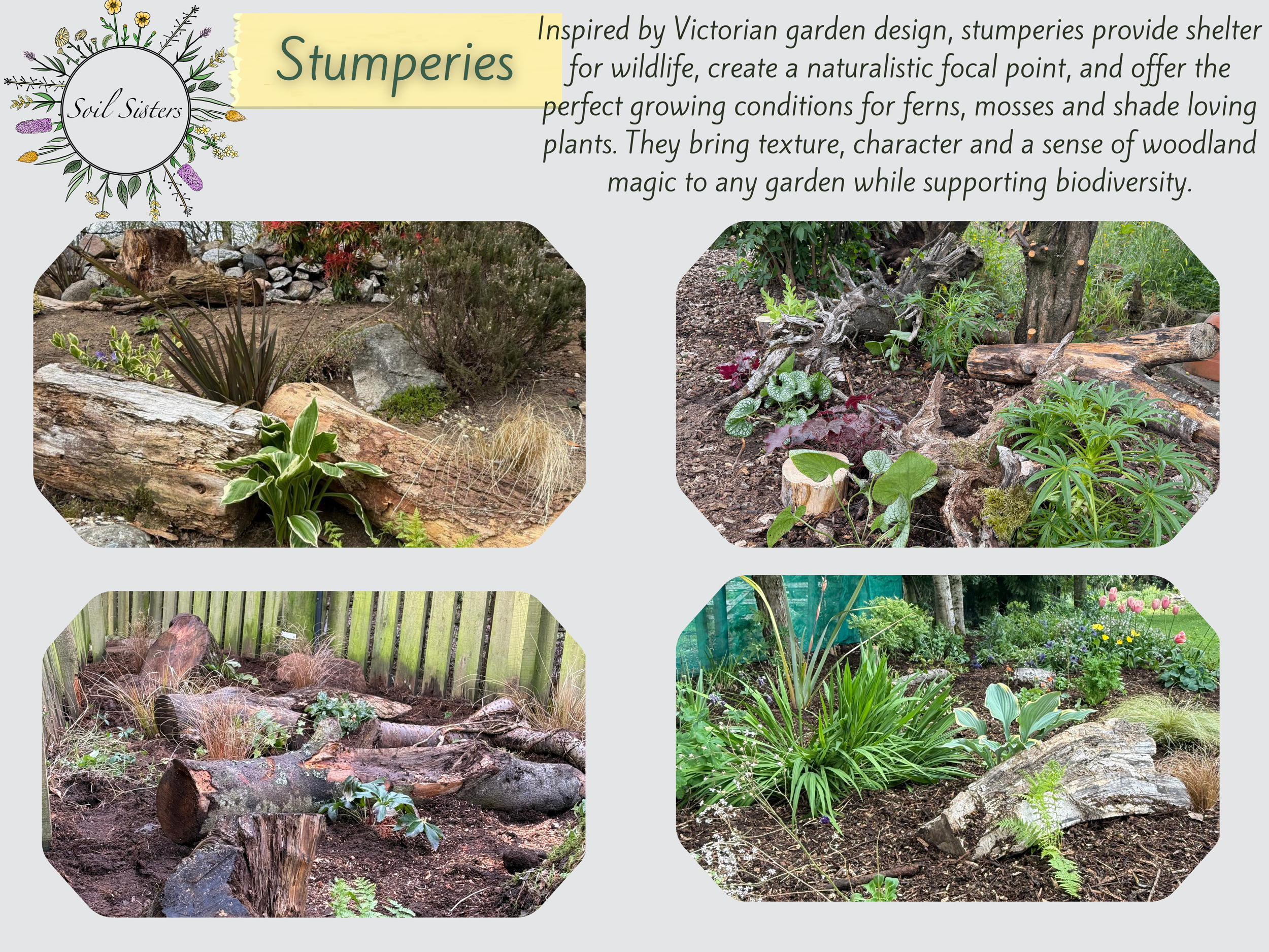 Stumpery.png