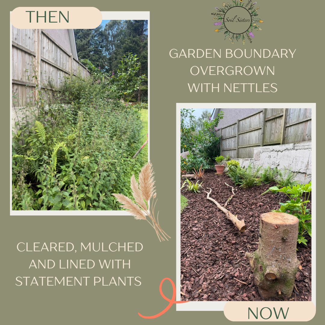 Garden transformations  (5).png