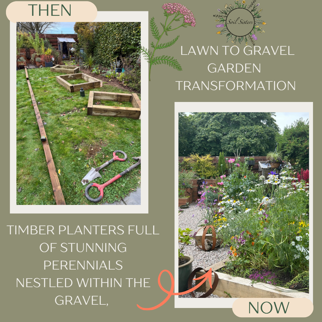 Garden transformations  (3).png