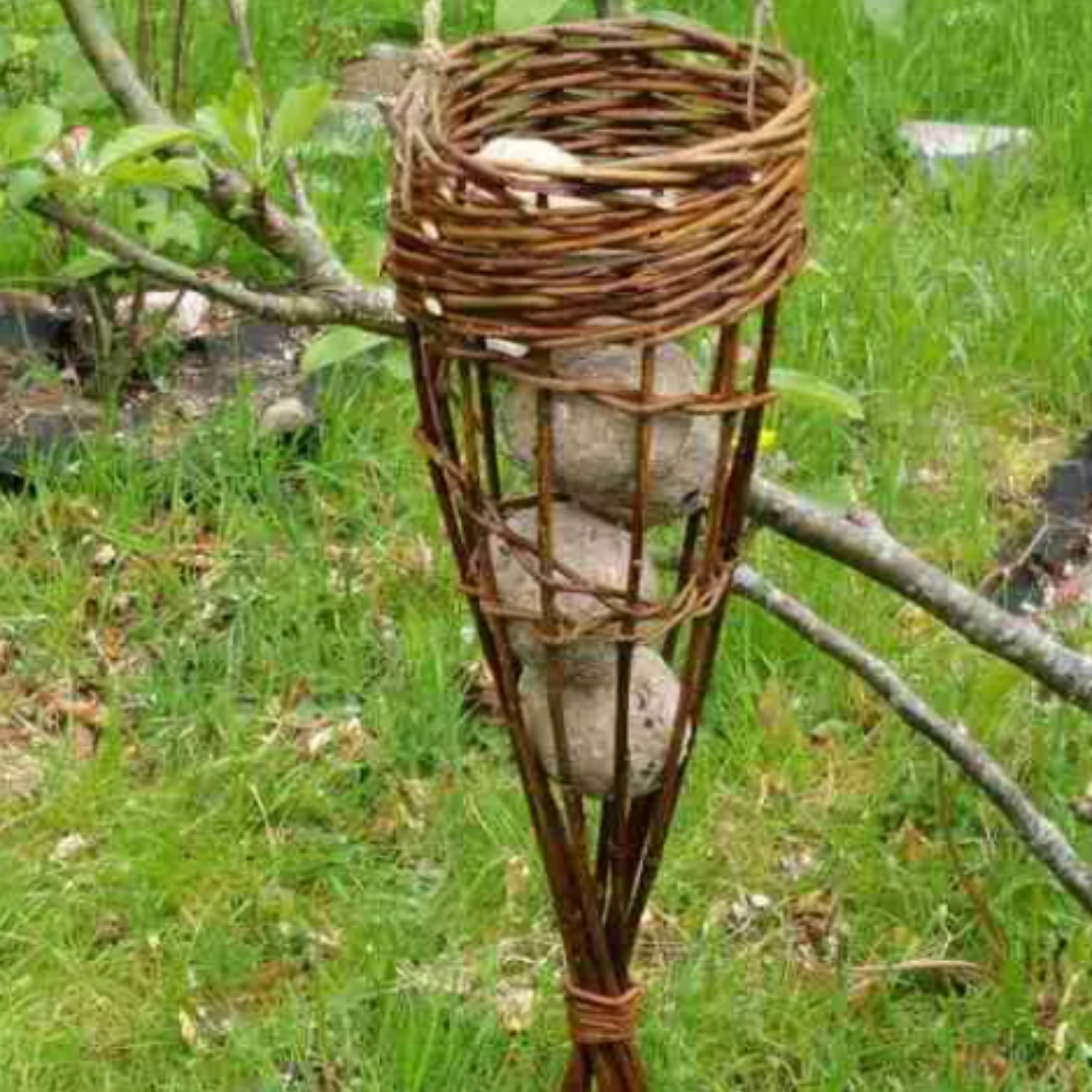 A bird nest constructed with sticks and woven twigs, built around a tree branch in a grassy outdoor area.