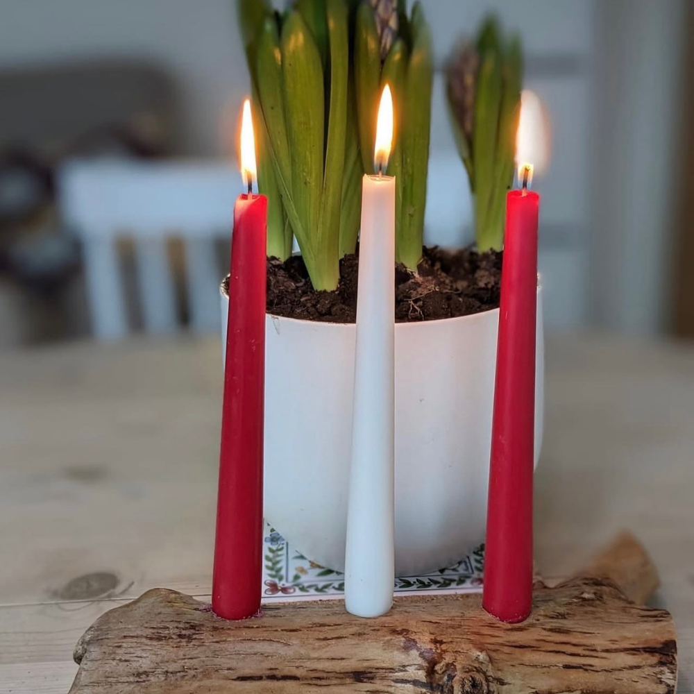 A white pot with green houseplant, possibly hyacinth or tulips, on a wooden table with three lit candles in front—two red and one white—on a rustic wooden base.