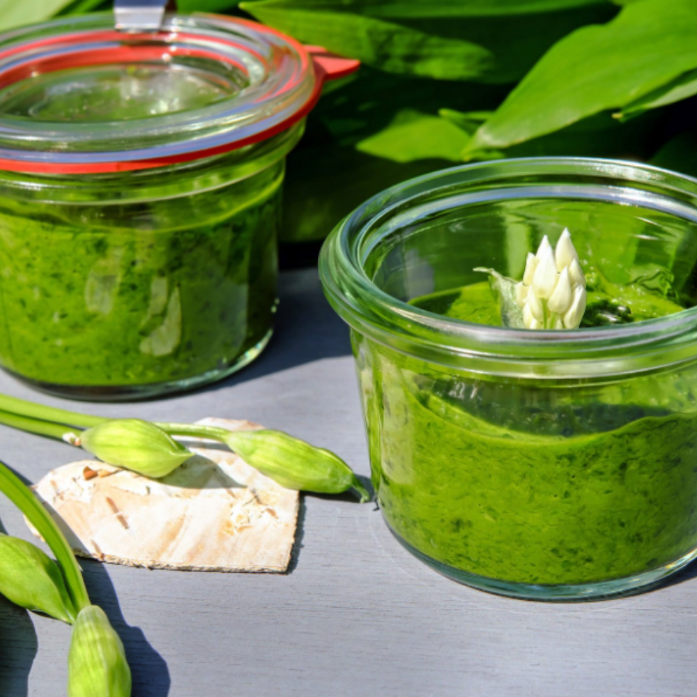 Two glass jars filled with green homemade pesto, with one jar topped with white garlic flowers, surrounded by fresh garlic buds and green leaves on a gray surface.