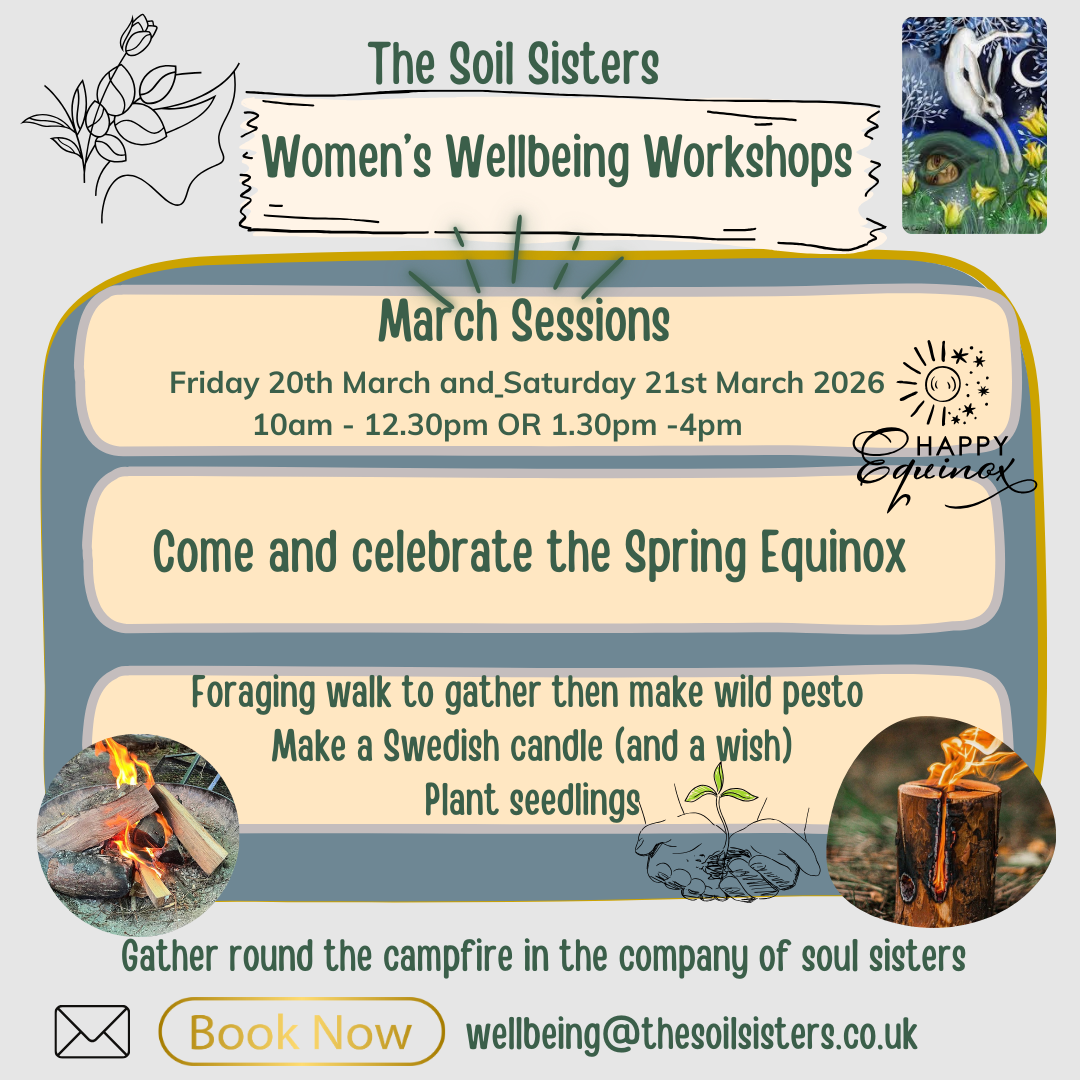Event poster for The Soil Sisters Women's Wellbeing Workshops in March 2026, featuring info about sessions, activities like foraging walks, candle making, planting seedings, and a campfire gathering.
