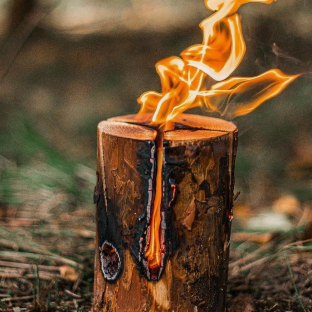 A burning piece of wood with flames coming out of the top.