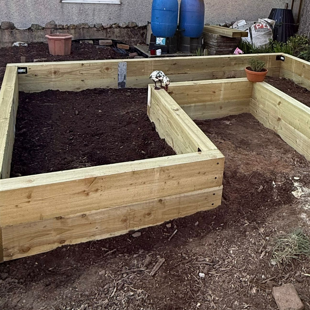A garden bed with two sections of fresh, untreated wood framing, filled with dark soil. There is a small bird figurine on one of the wood panels and a small potted plant inside one section. In the background, gardening tools, blue rain barrels, and g