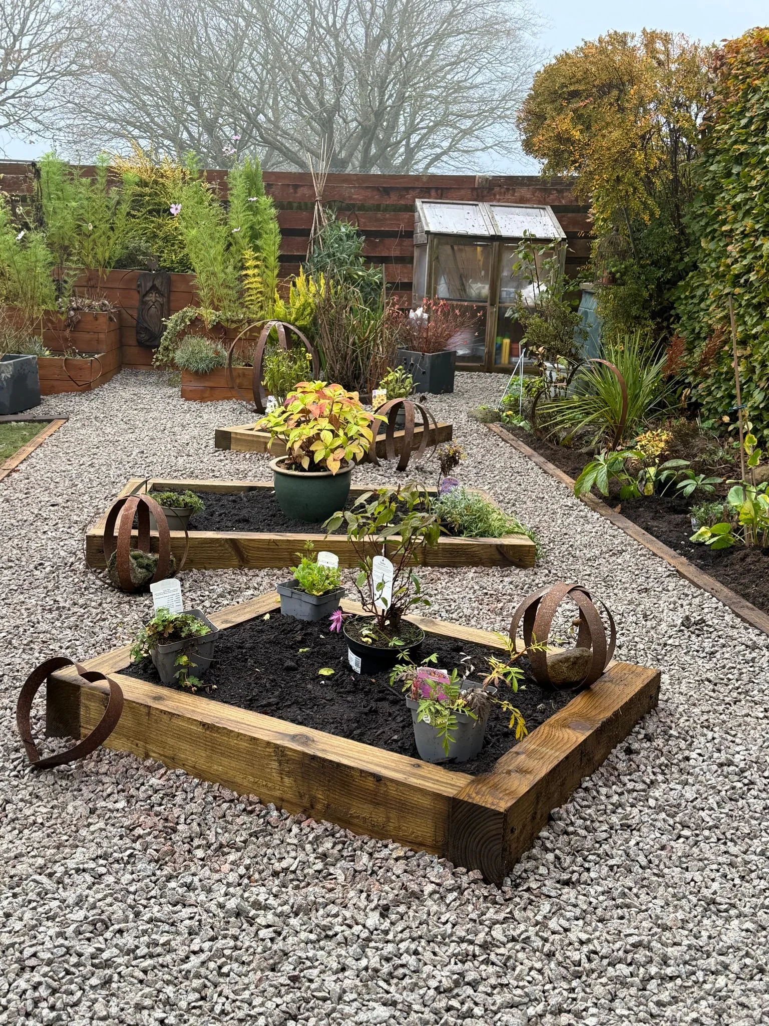 A garden with raised wooden beds filled with plants and flowers, surrounded by gravel pathways, in front of a reddish-brown wooden fence, with a greenhouse in the background and autumn trees at the top of the image.