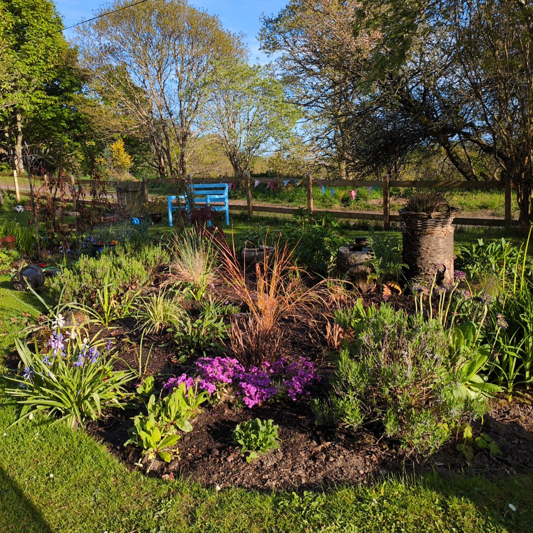Colorful garden with blooming flowers, trees, and garden decorations, including a blue bench and a wooden fence, on a sunny day.