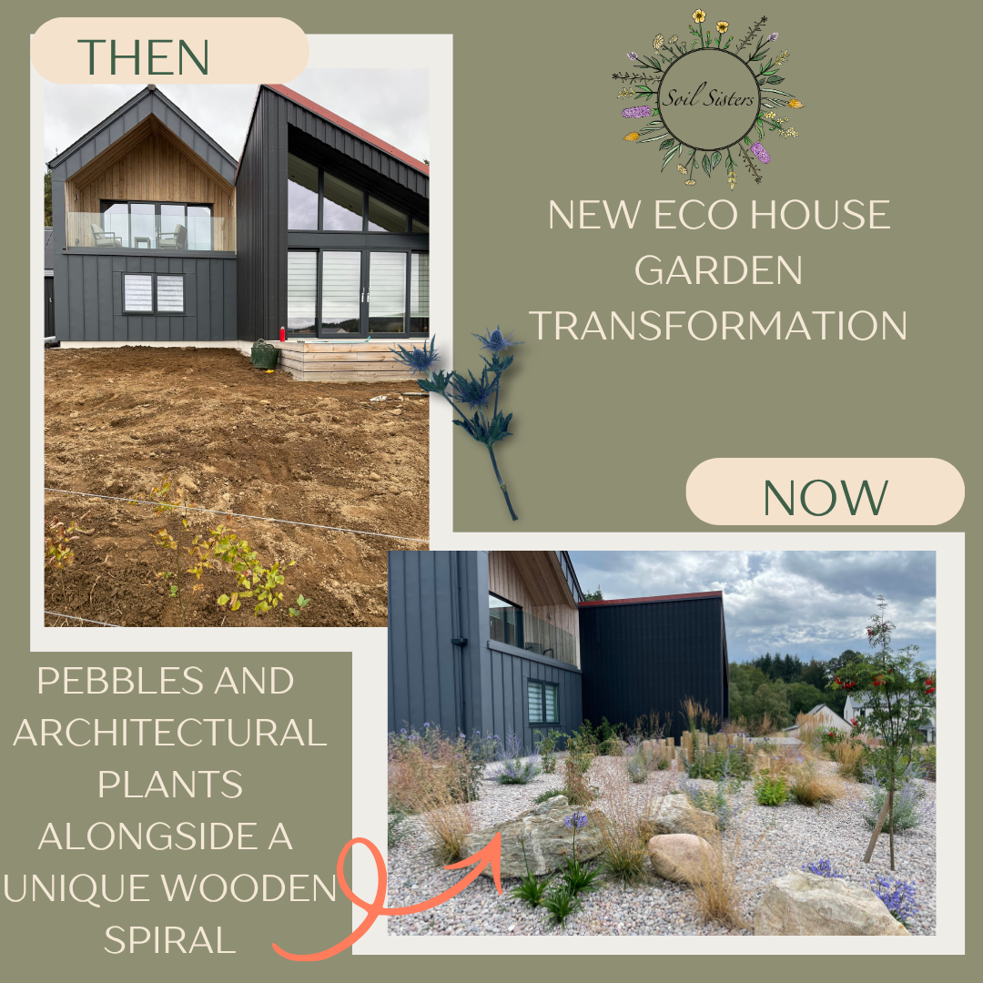 Garden transformations  (4).png