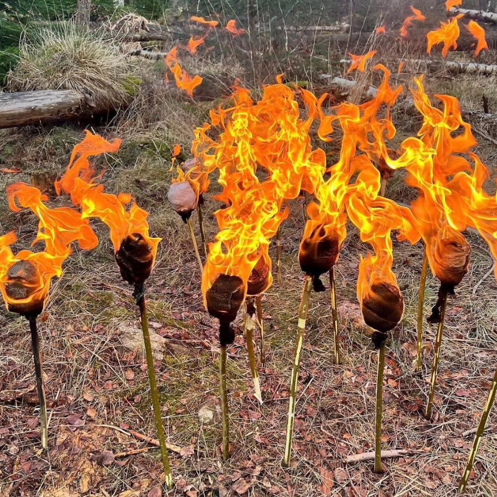 Multiple marshmallow-like objects on sticks are set on fire outdoors, with tall flames rising from each, in a grassy area with fallen leaves and logs.
