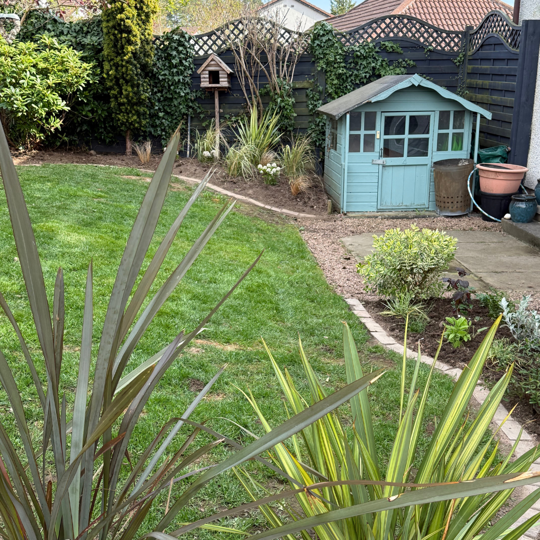 A backyard garden with a green lawn, various plants and bushes, a blue wooden shed, and a birdhouse on a pole near a black wooden fence.