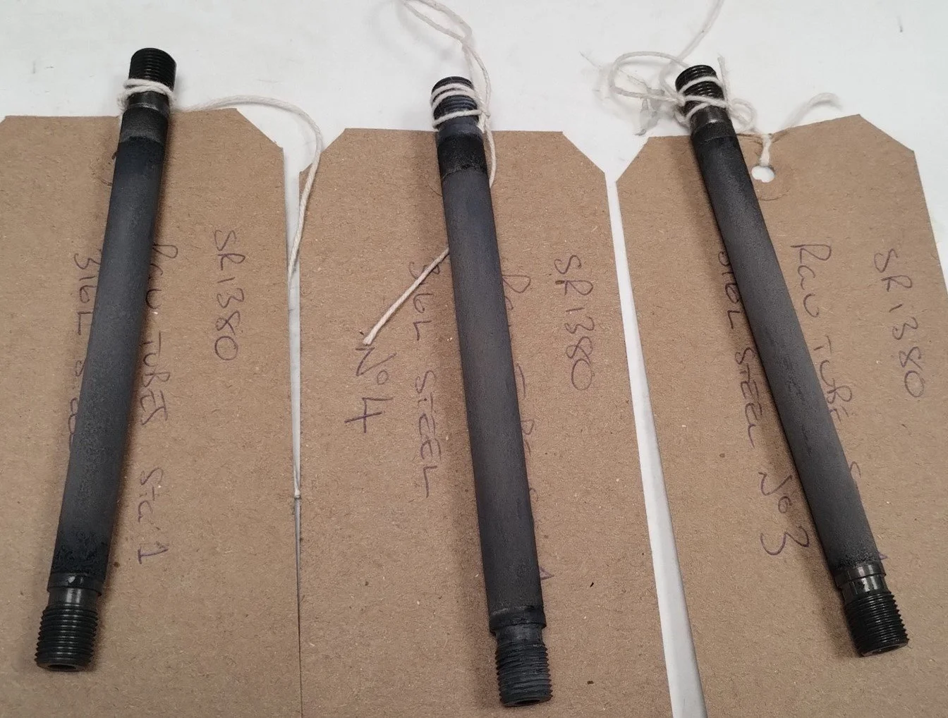 Project Spotlight: METASIS