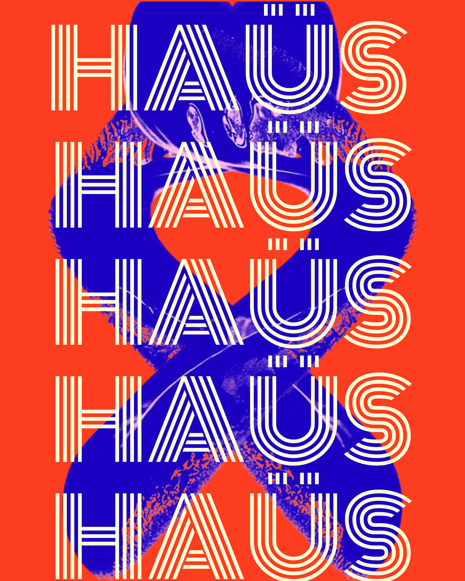 HAÜS 4.0