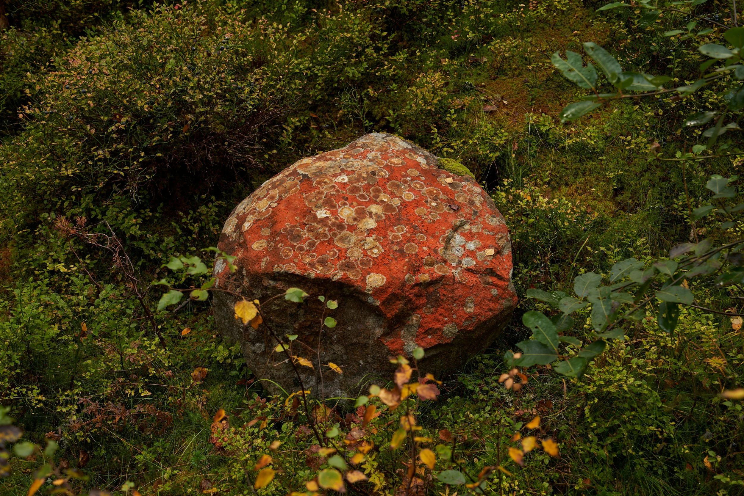 Critical Minerals Are Like Roast Dinners: enabling local ingredients