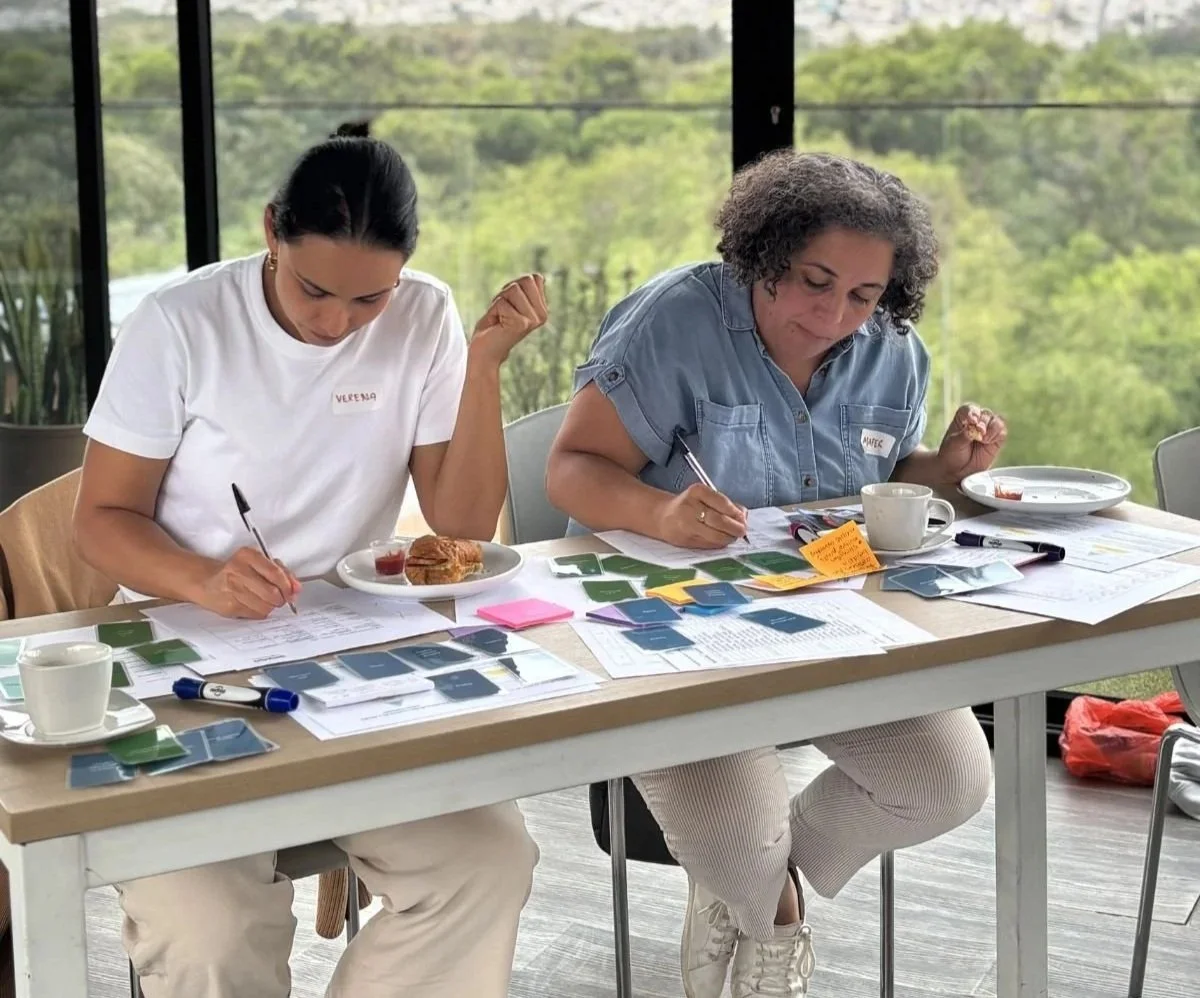 Systems Thinking Workshop 
