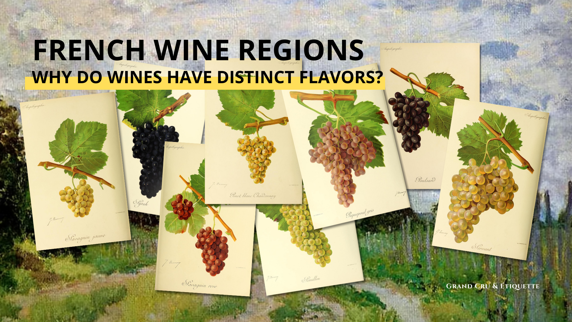 Why Wines from Burgundy, Bordeaux &amp; Champagne Taste Different