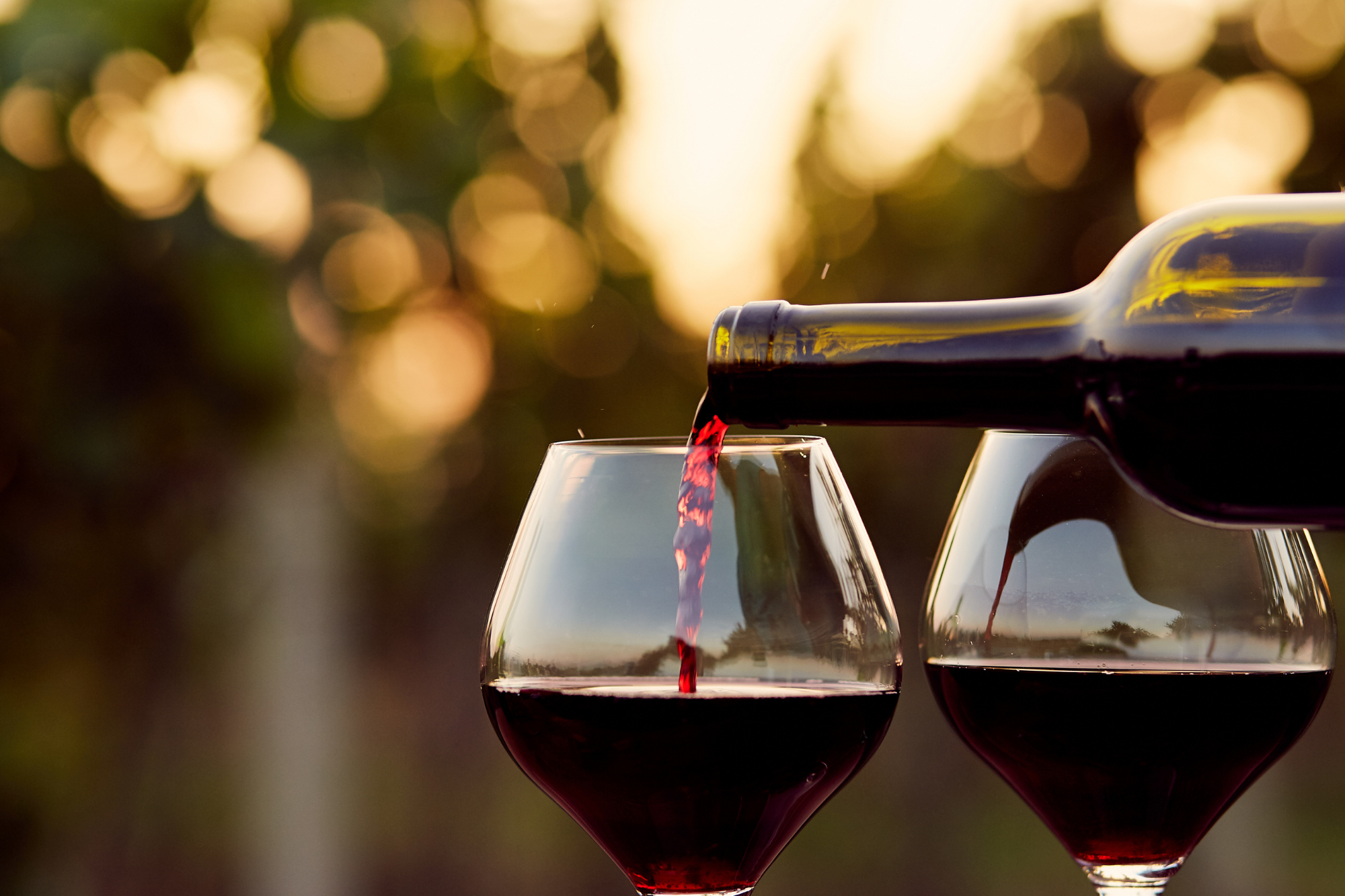 Wine Tasting: Why Your Perception of Taste Is More Subjective Than You Think