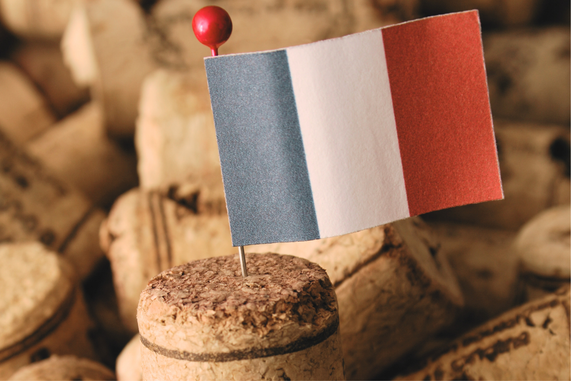 The Bottle as a Diplomat: How French Wine Quietly Shapes World Power