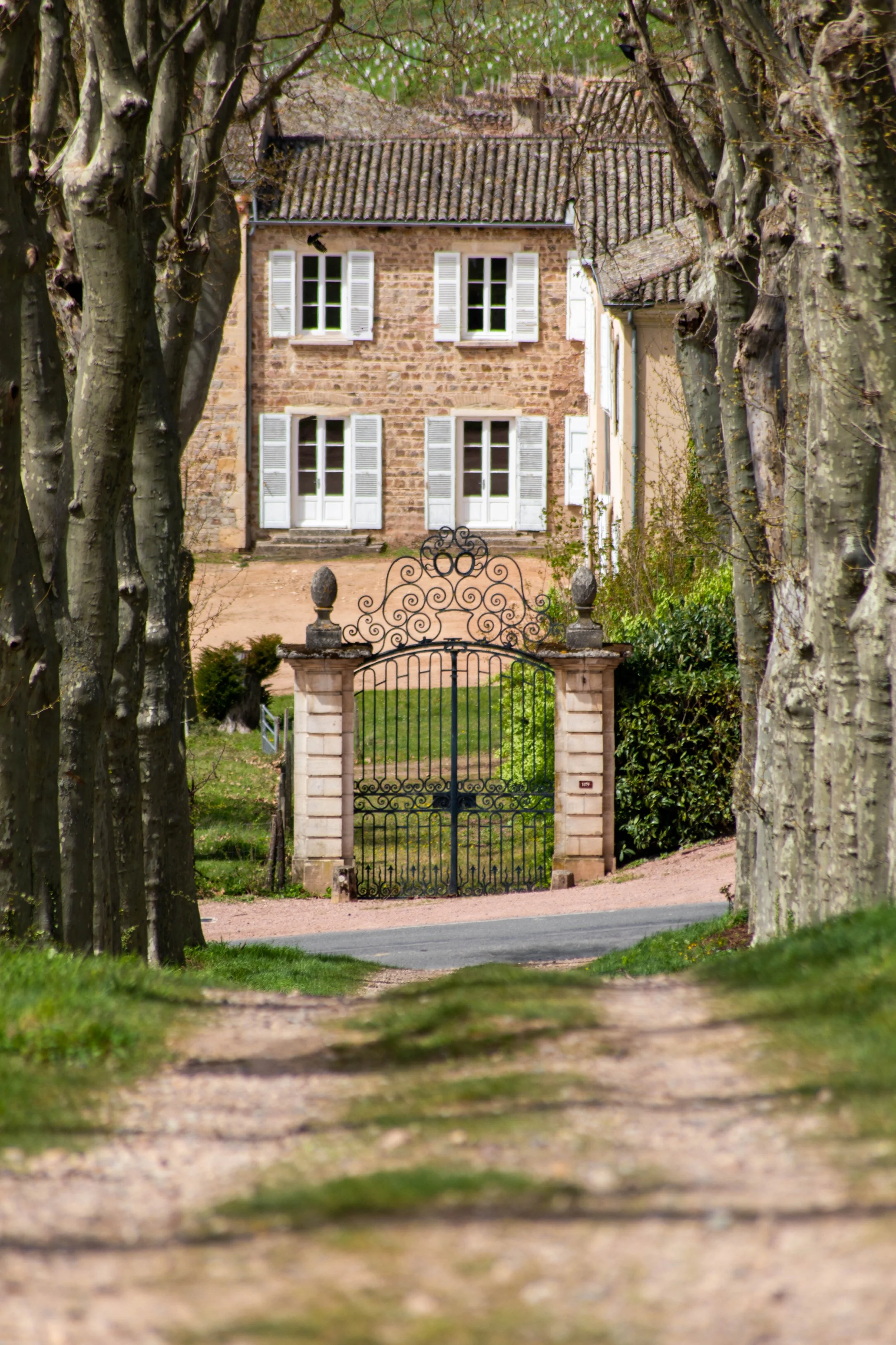 Chateau-de-Poncie-Beaujolais-France.jpg (Copy)