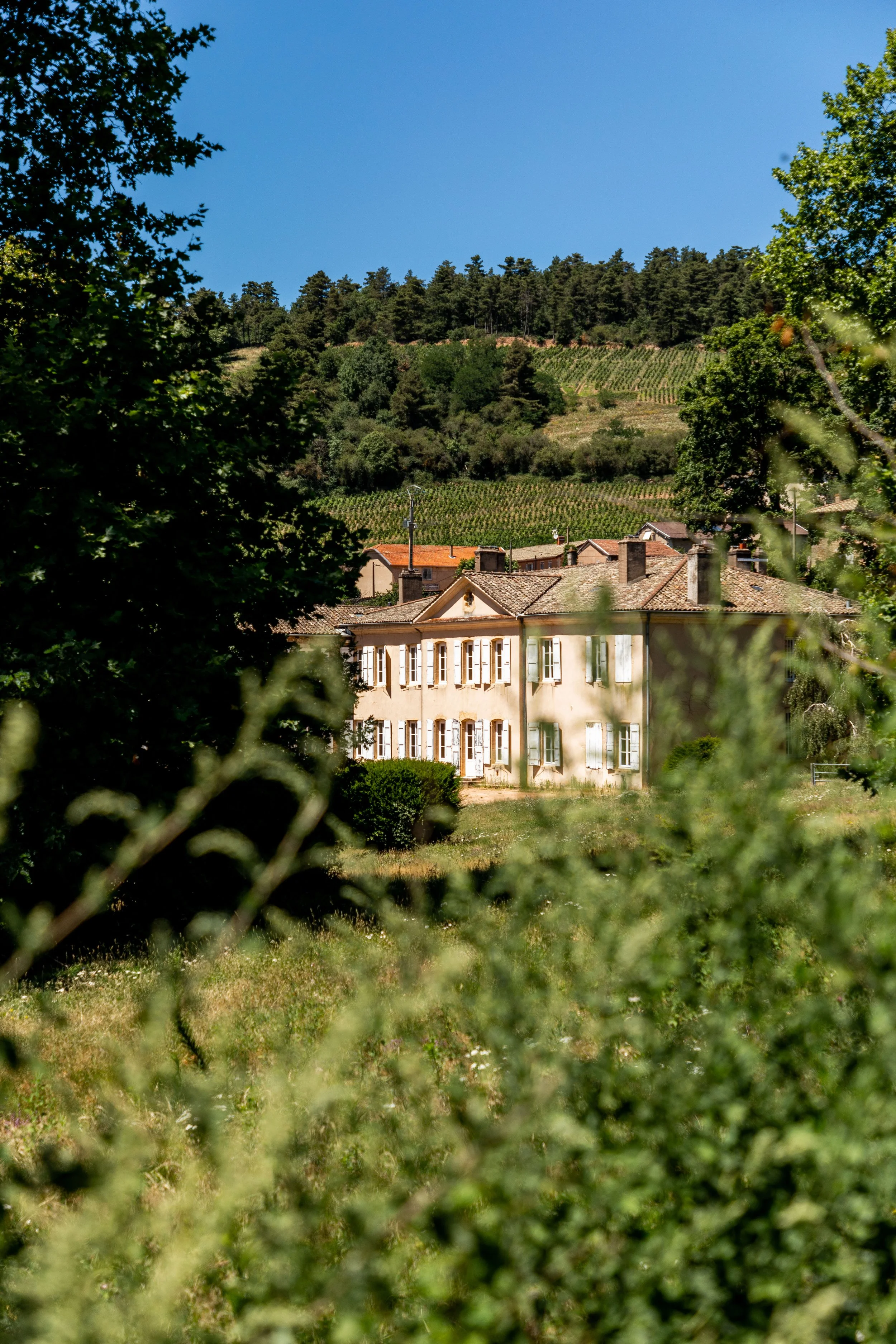 Does Beaujolais Have a Premier Cru? Fleurie’s Bid for Rank