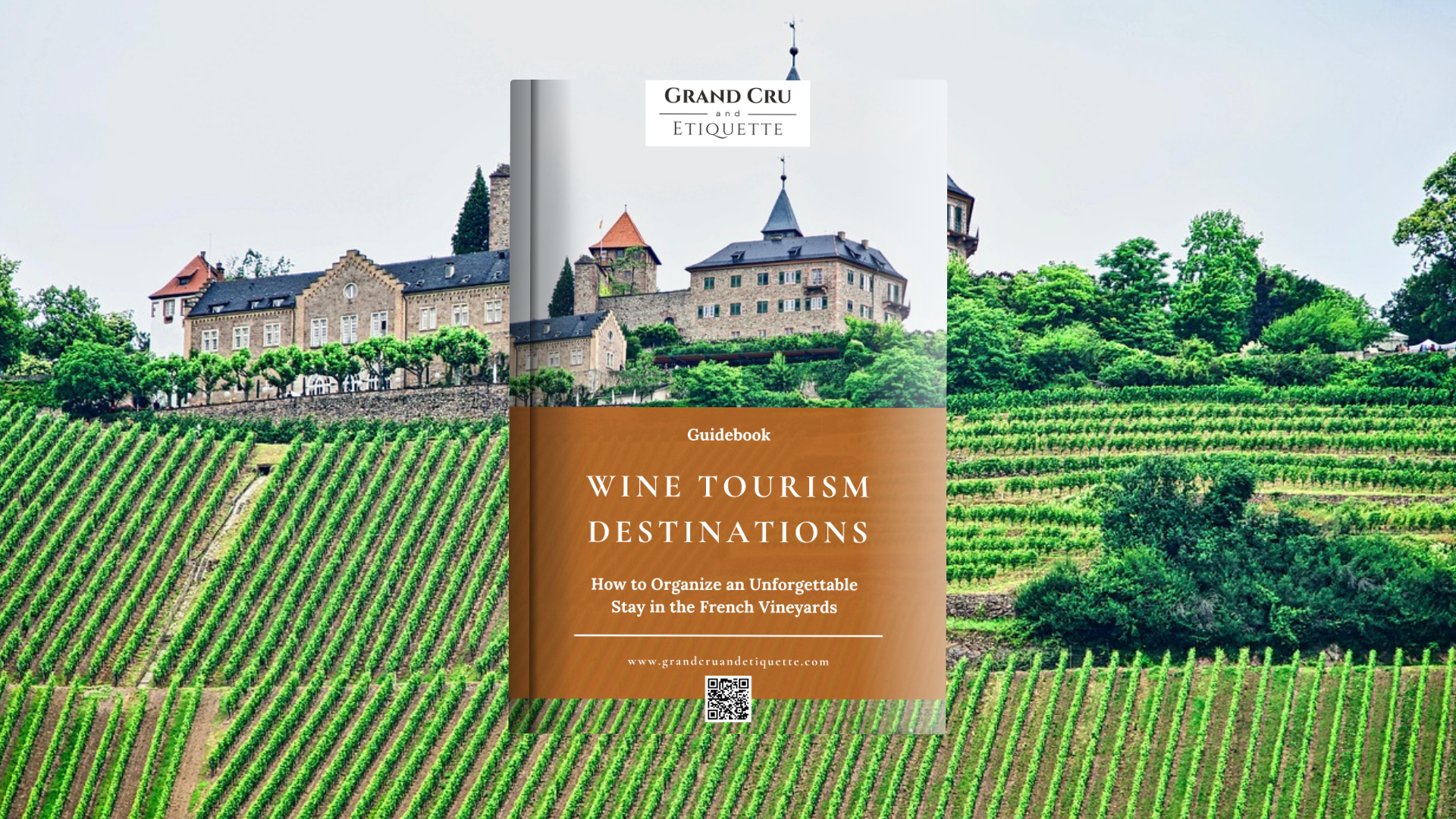 French Wine Tourism Guide