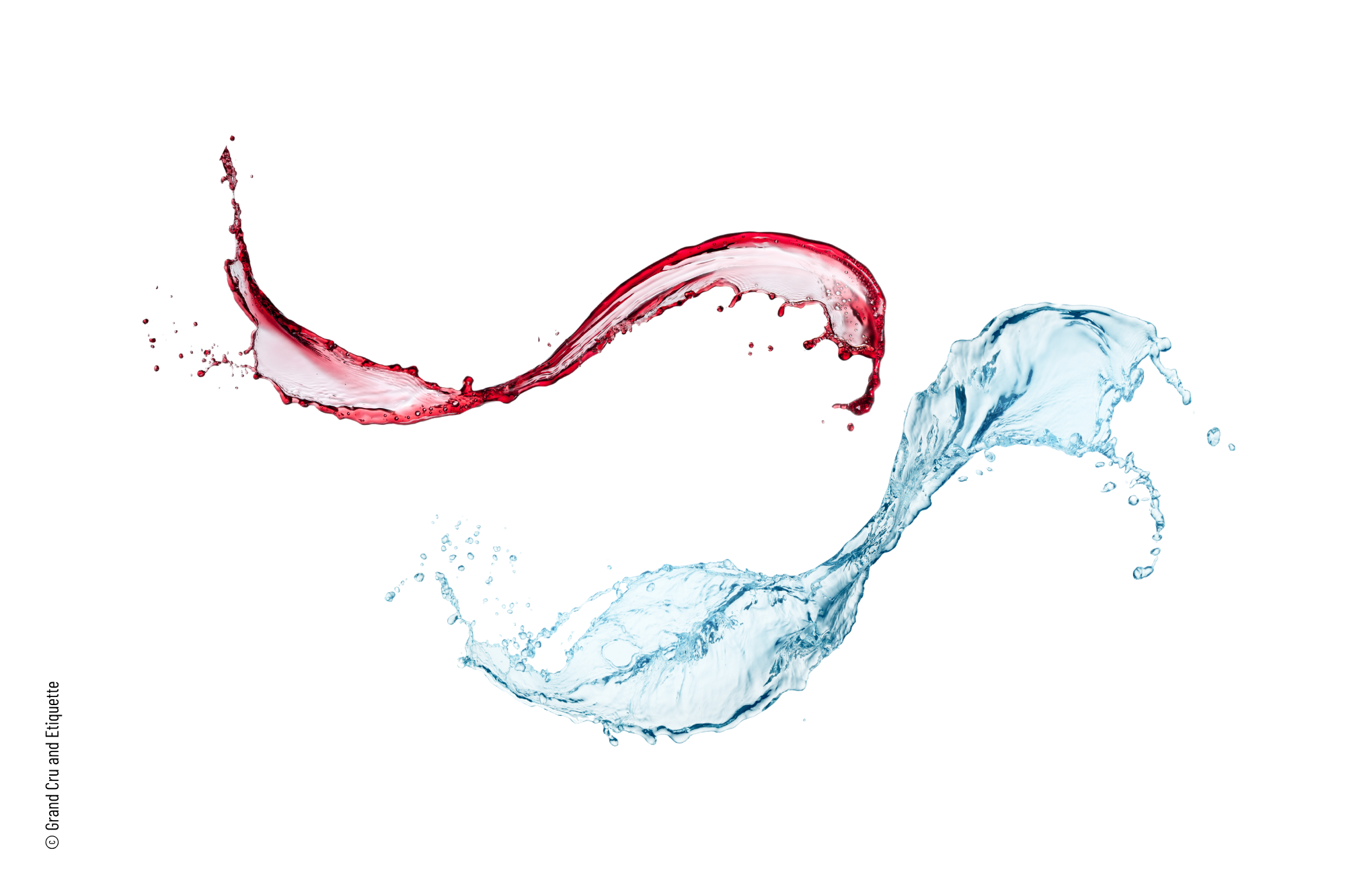 Wine Etiquette for Non-Drinkers: How to Handle a Dinner Without Drinking