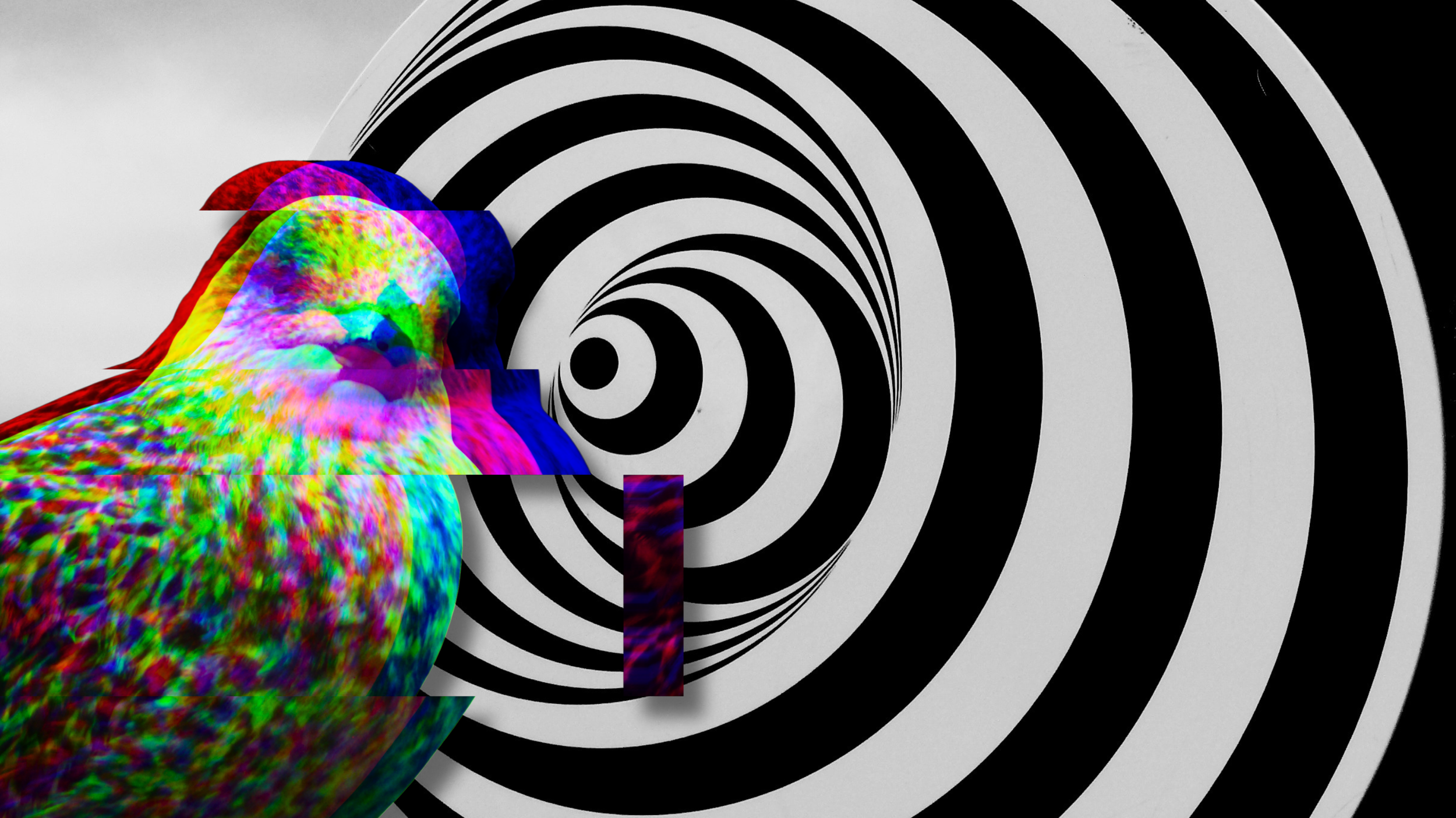 Tim Smith Artwork (15).png