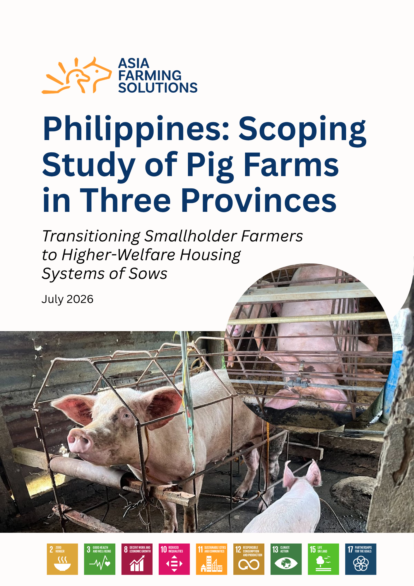 Cover of the scoping report "Transitioning Smallholder Pig Farmers to Higher-Welfare Housing Systems for Sows," examining sow housing practices, animal welfare, and post-ASF recovery in the Philippines.