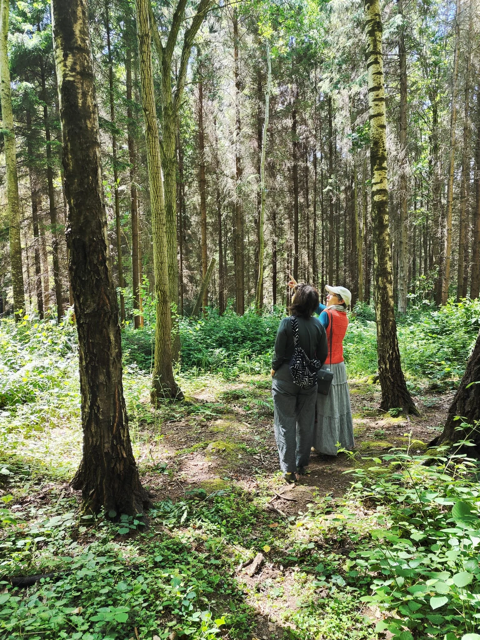 1:1 Session online or in the woods.