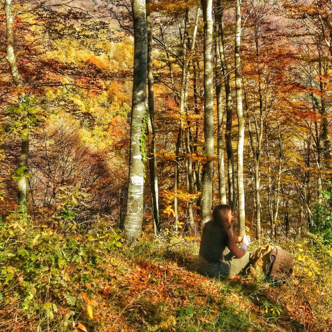 A woman sitting on the forest floor among autumn-colored trees with a backpack beside her, taking a photograph or looking at her phone.