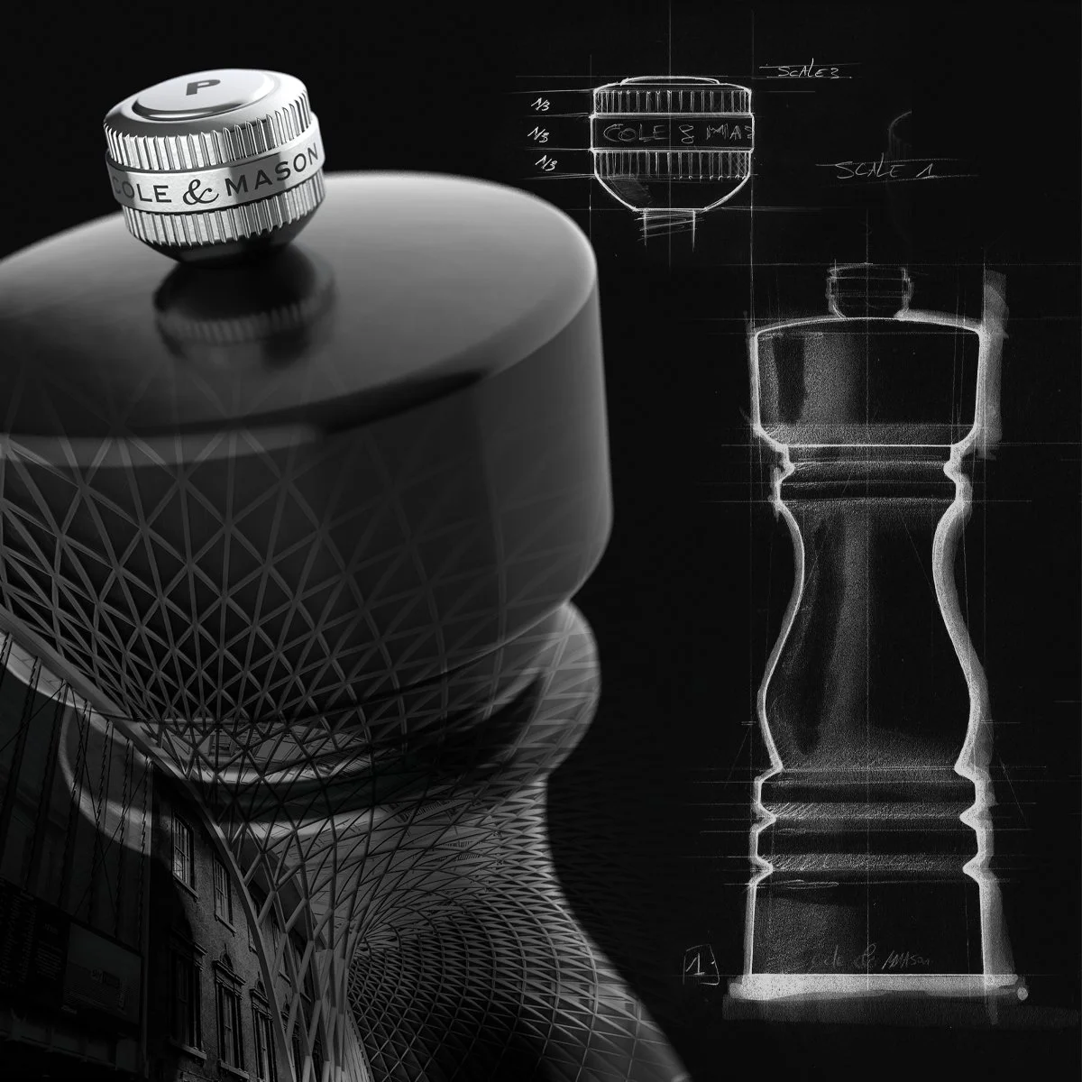 C&M_timeline visual 2023.jpg