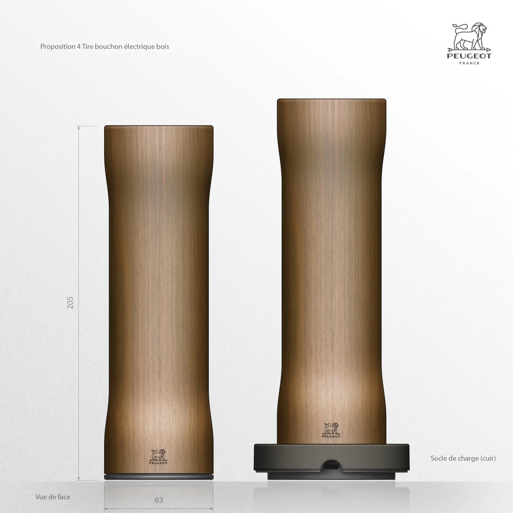 PEUG_SDV_TB électrique bois_RD4_200818.jpg