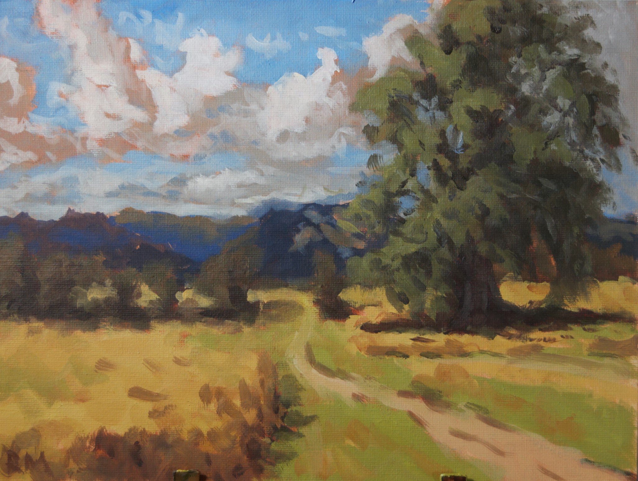 edited tree and field.jpg