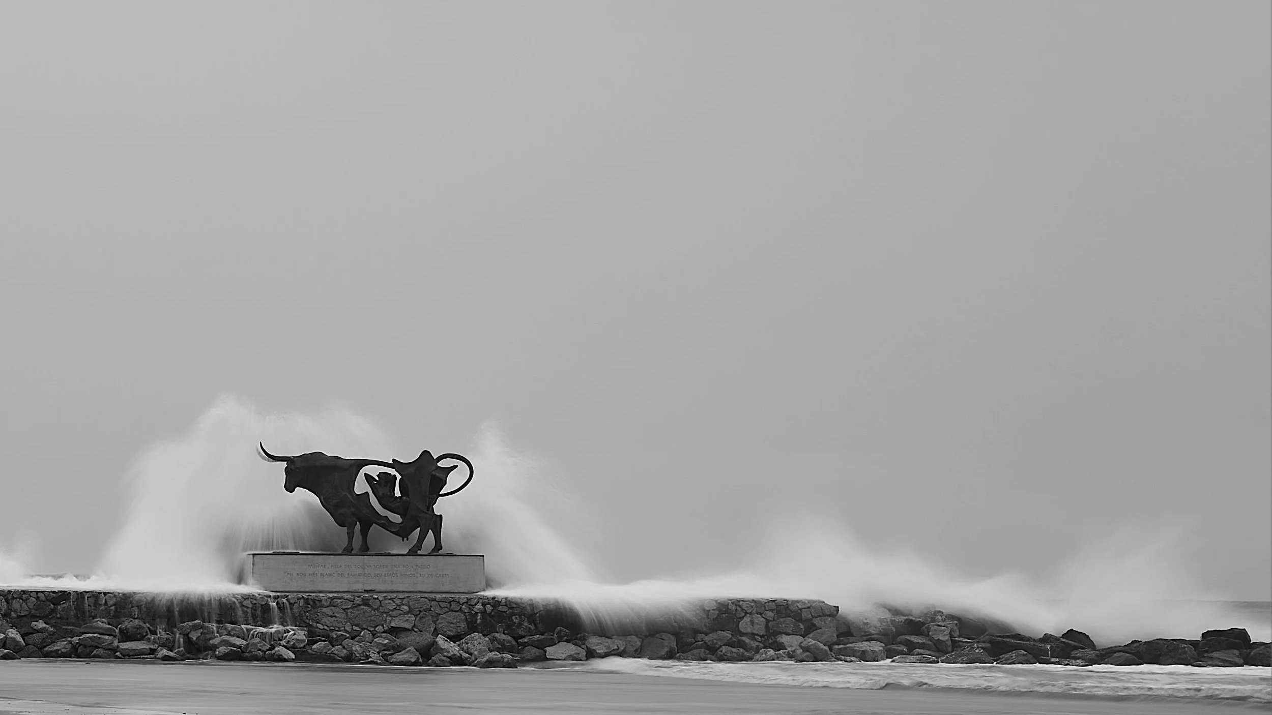 The Image Before the Image. 