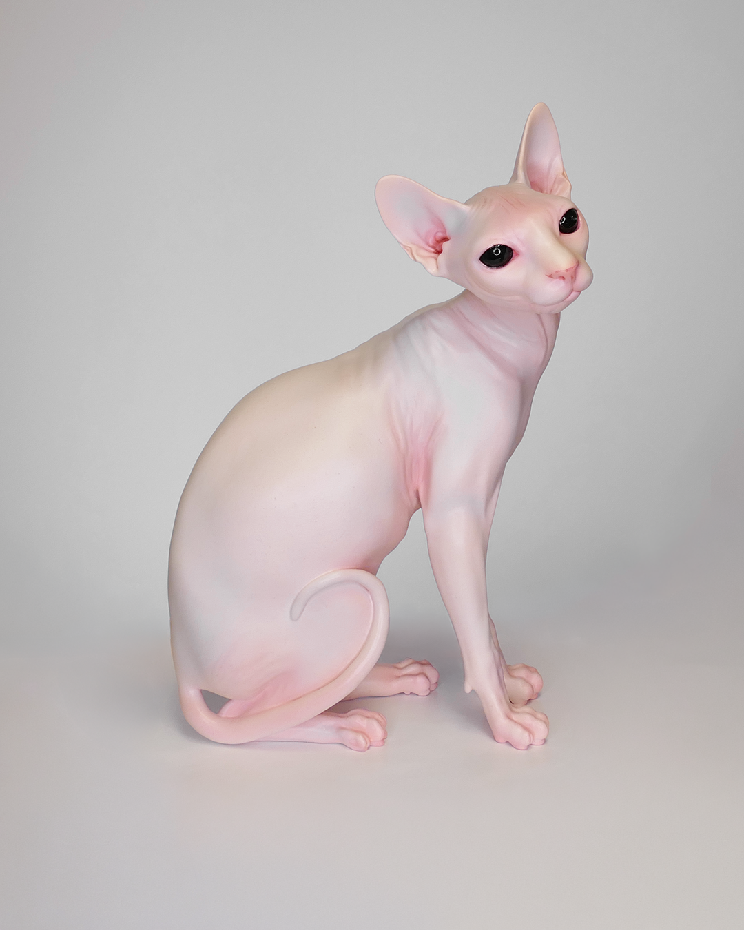 Sphynx Cat.png