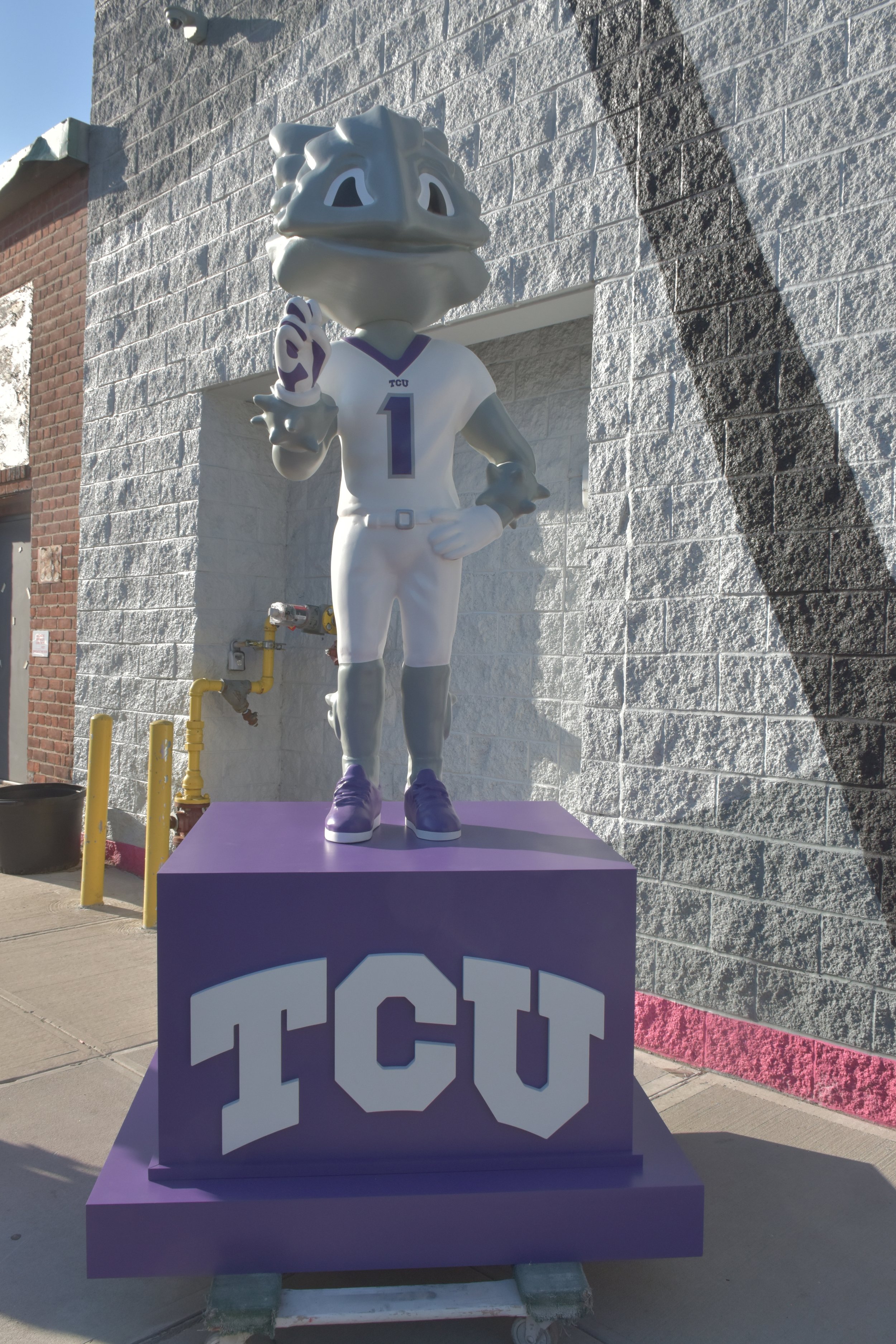 DSC_0015.JPG