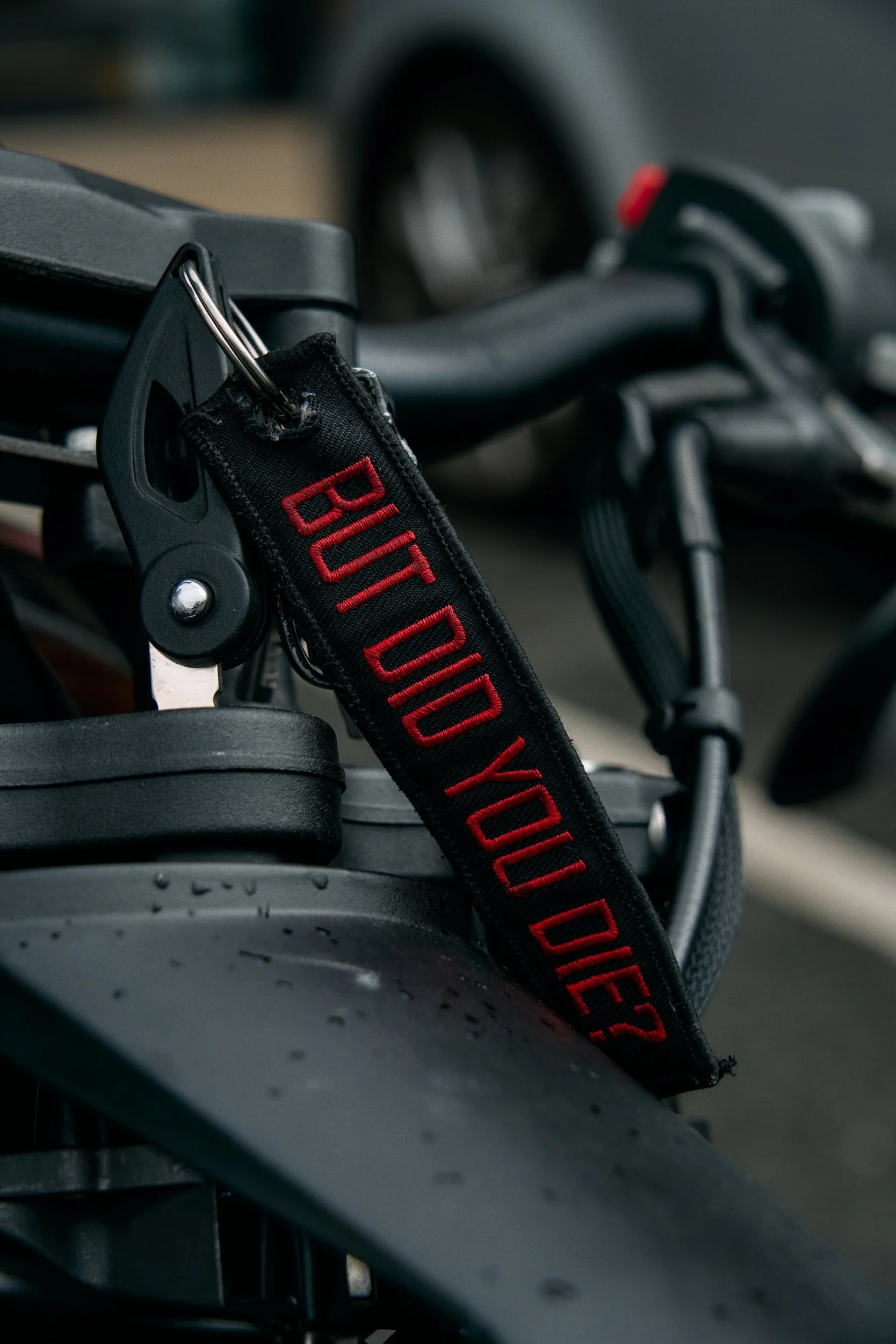 VisuallyWIll_Rememberence_Ride_2025 1.jpg
