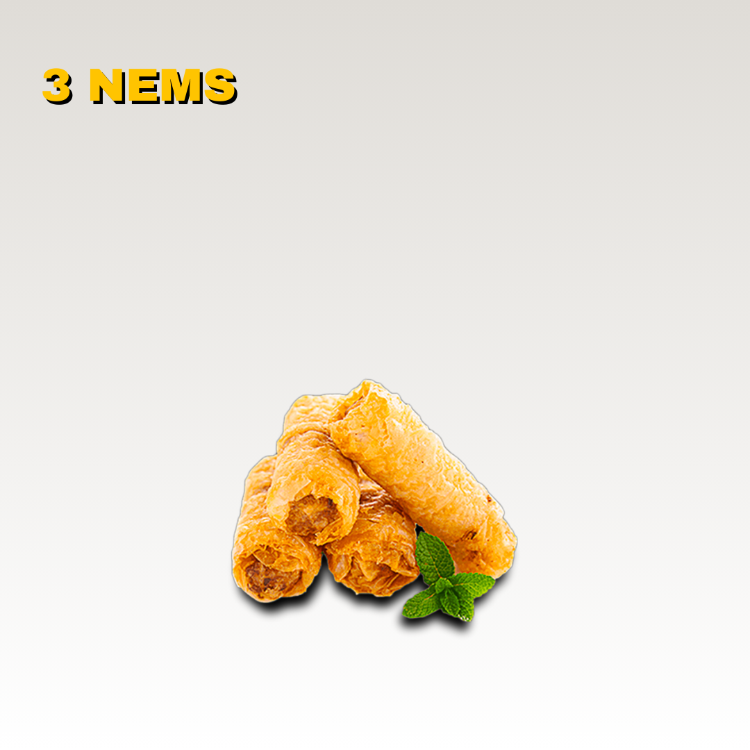 Trois nems frits avec une branche de menthe à côté, fond blanc. Toute la carte est halal.