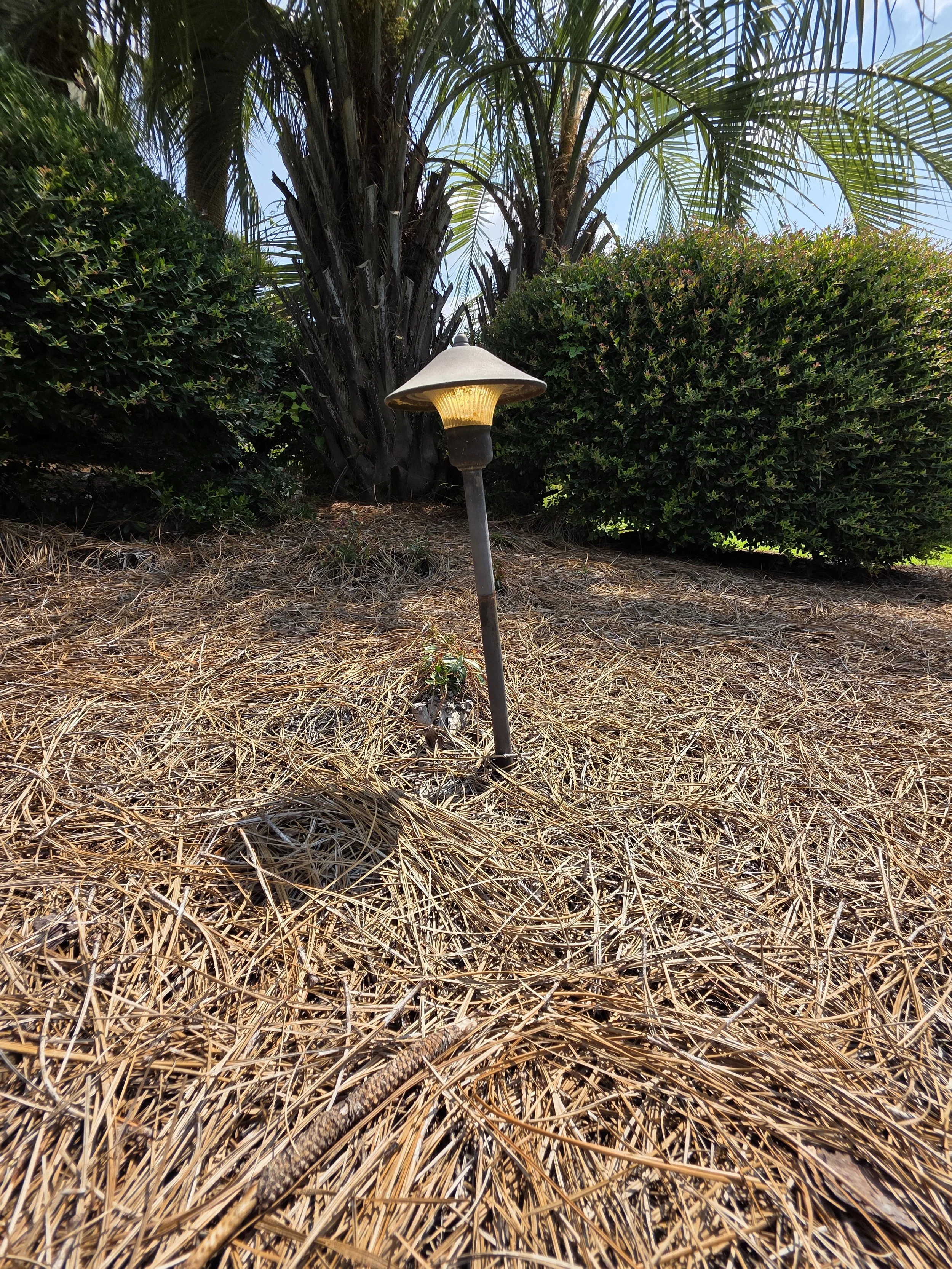 Landscape path-light project in Briarcliffe Acres, South Carolina.