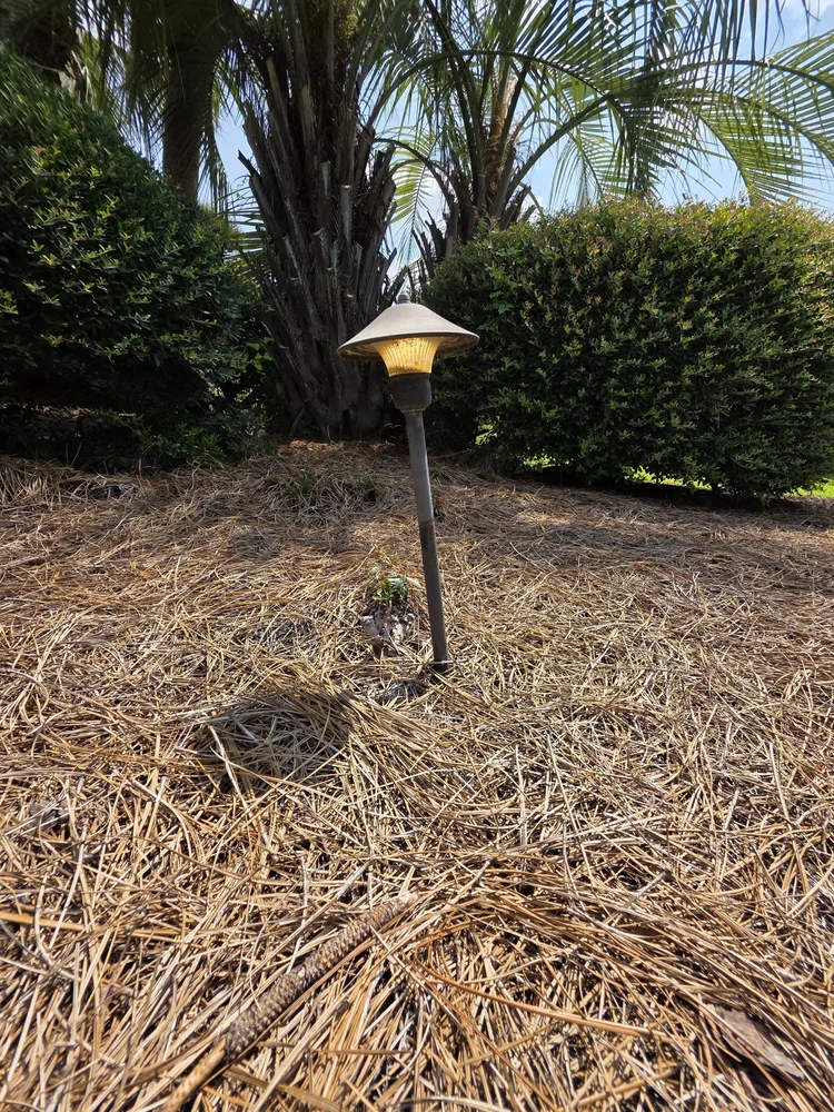Landscape path-light project in Briarcliffe Acres, South Carolina.