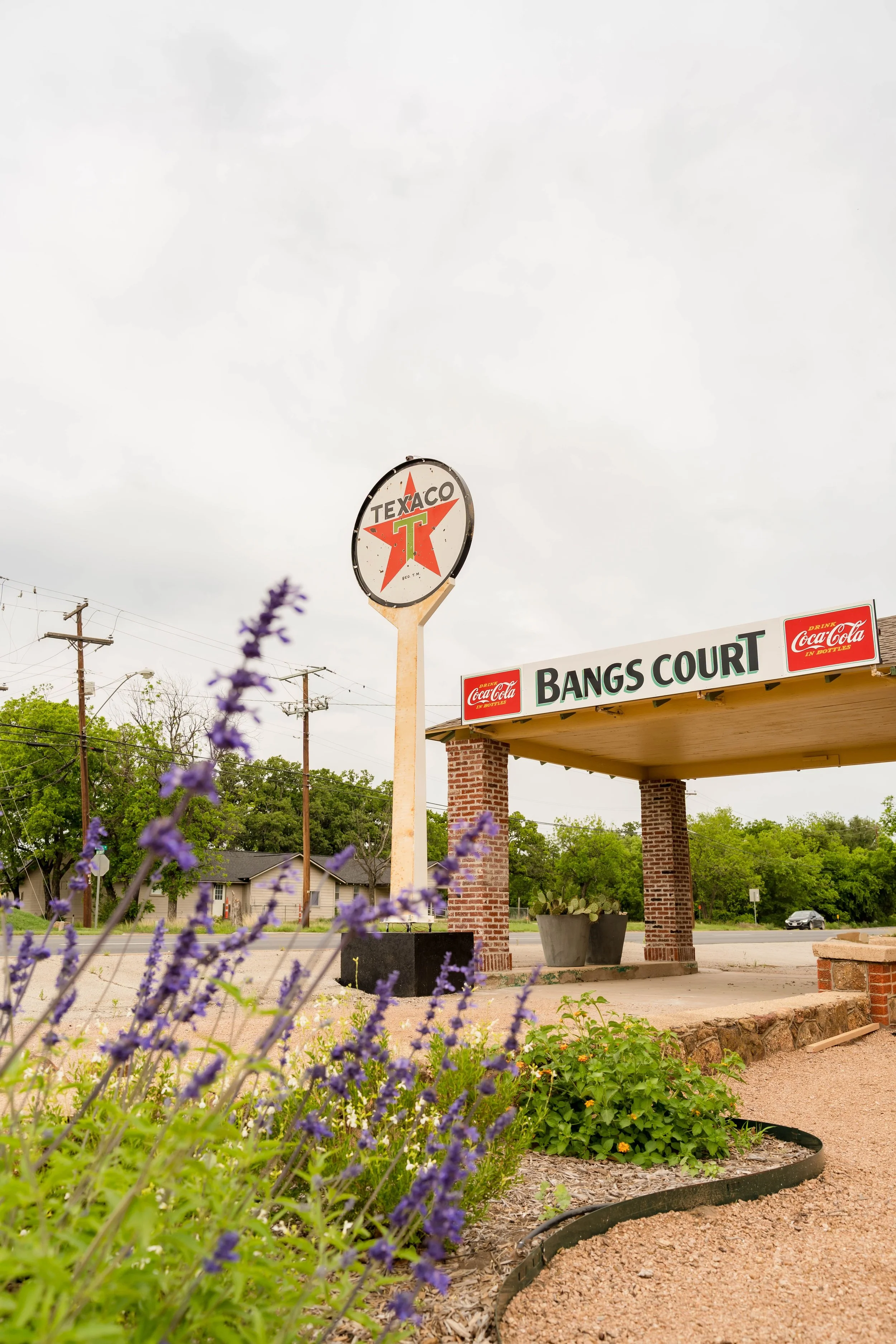 A vintage Texaco sign with a red star, a sign reading 'Bangs Court' with Coca-Cola advertisements, a brick-covered shelter, purple flowers in the foreground, and trees and power lines in the background.