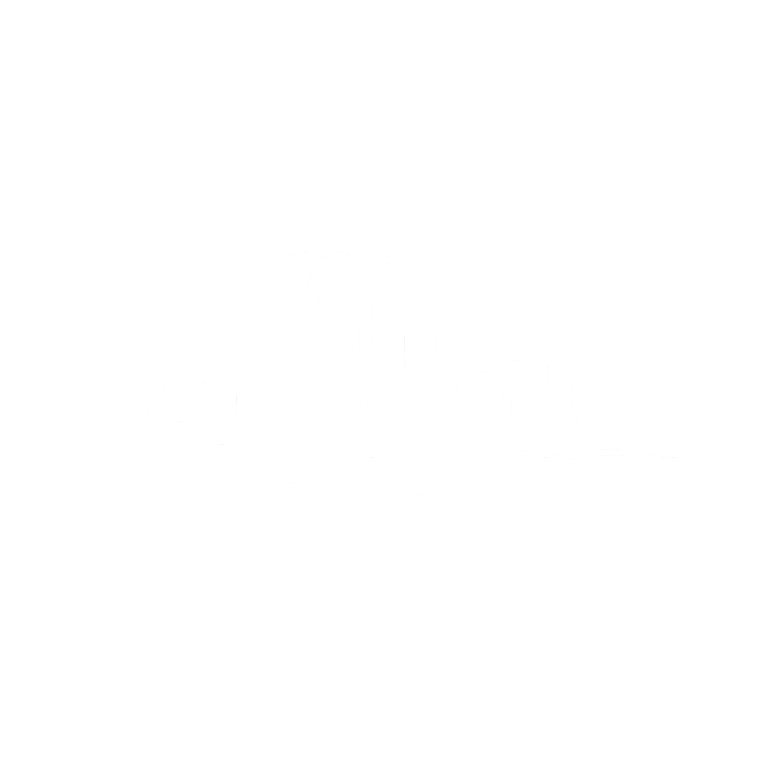 Illustration of two pillows, one labeled 'LUX' and the other labeled 'LINENS'.