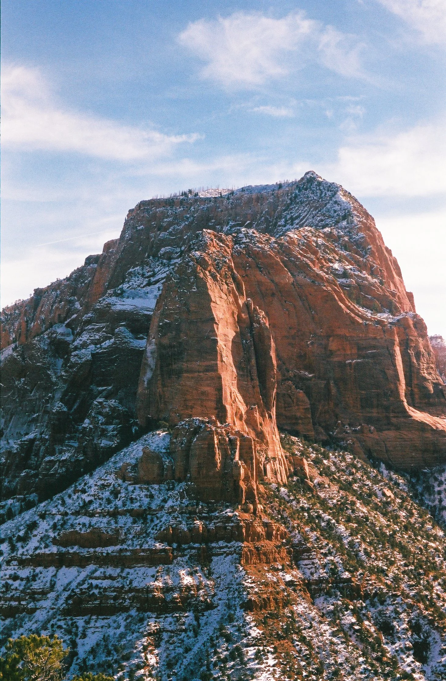 Cat Guffin - X Axis.jpg