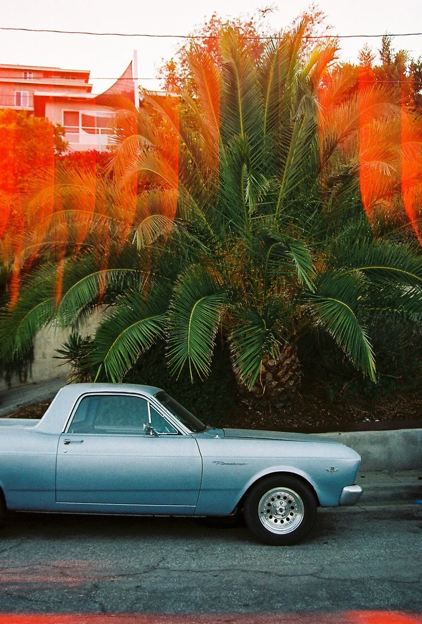 Cat Guffin - Time Travel Large.jpeg