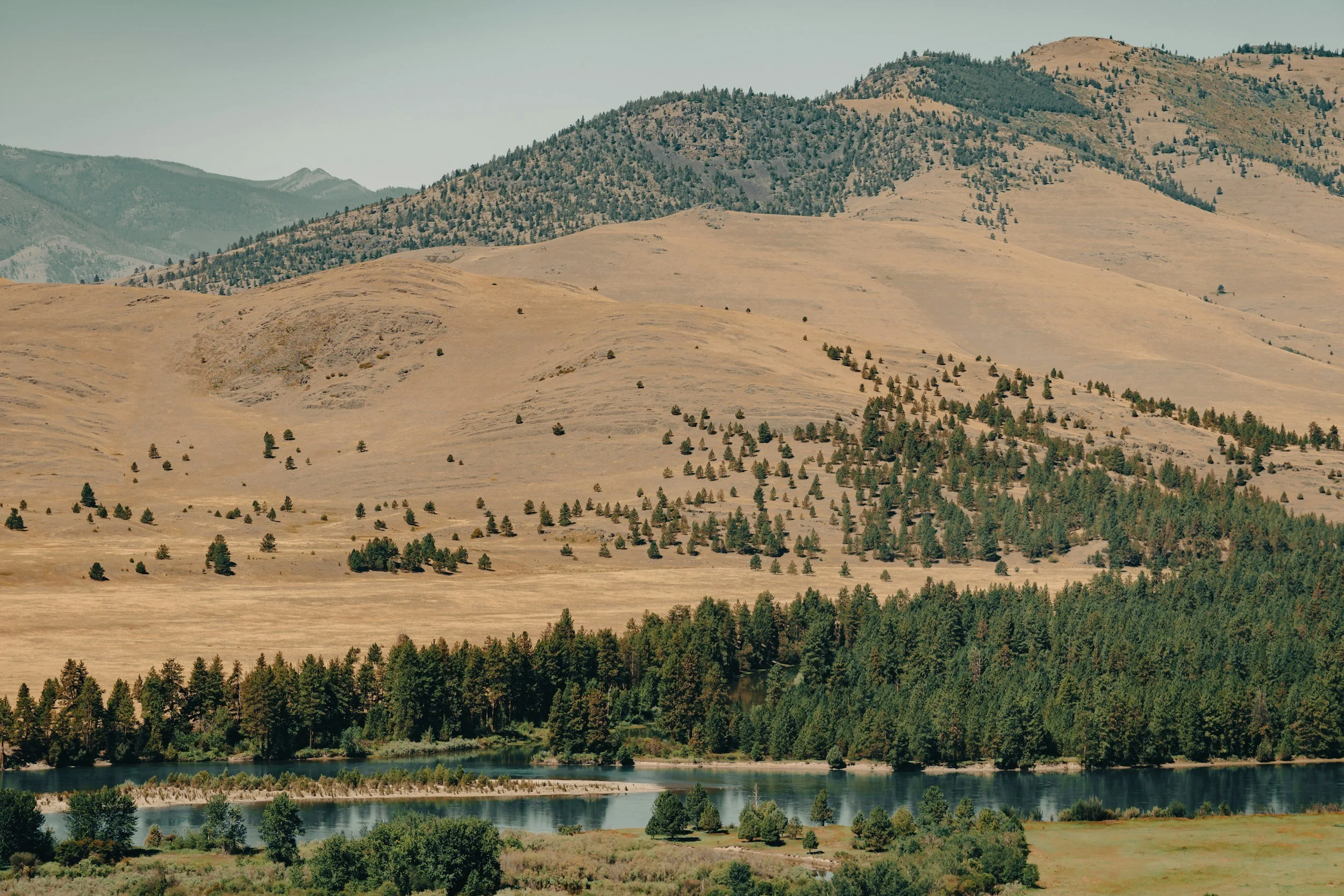 Why You Should Be Banking With Native American Bank