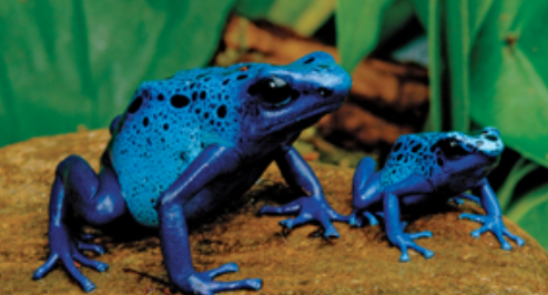 Screenshot 2025-04-17 at 1.13.28 PM.png