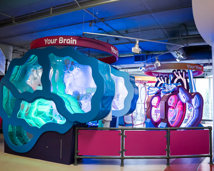 🧠✨ Children’s Museum of the Upstate: Where Curiosity Runs Wild (and Parents Secretly Learn Stuff Too)